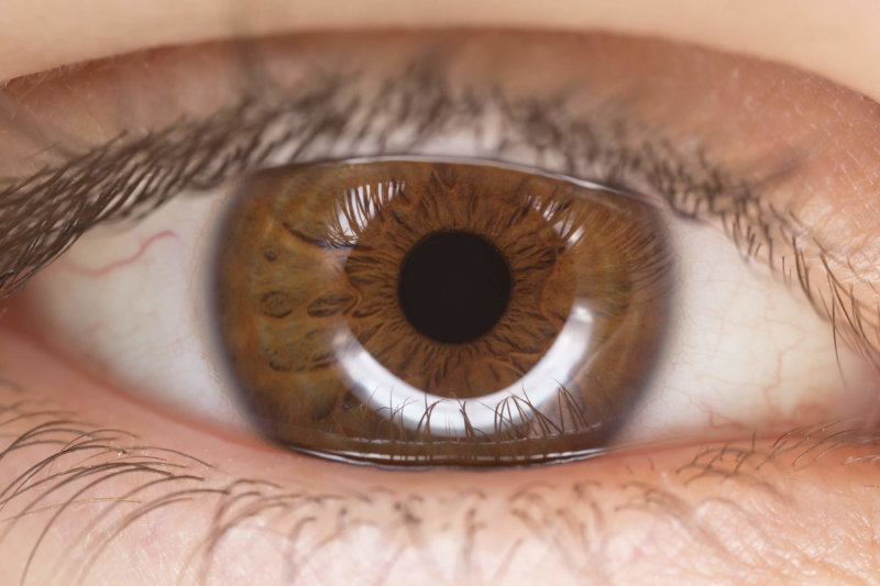 Gerryland AG Photoshop Kunst Augen