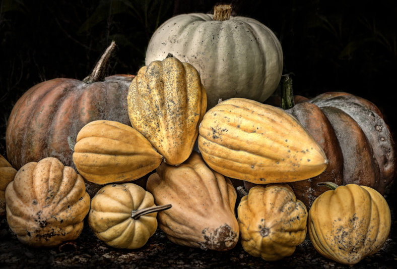 Gerryland AG Photoshop Kunst Objekte Kürbisse