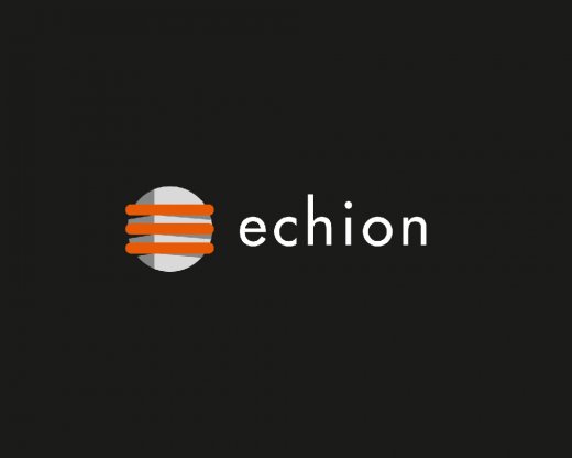 Echion-Logo