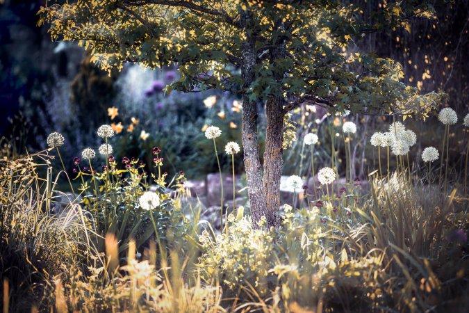 Garten der Gerryland AG Werbeagentur Würzburg