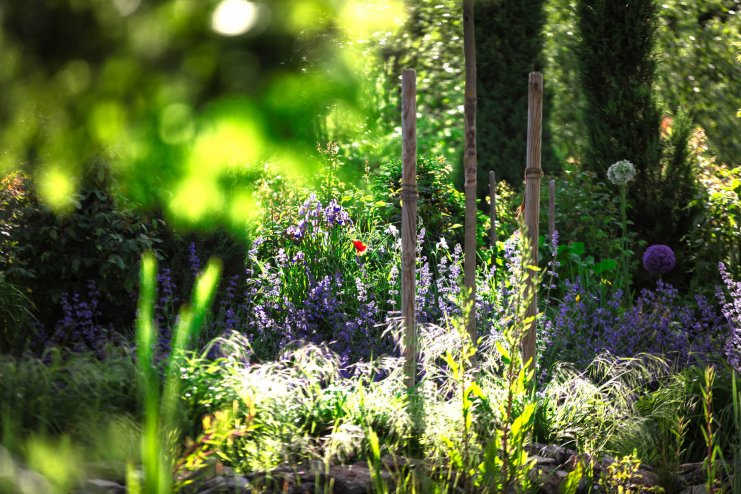 Garten der Gerryland AG Werbeagentur Würzburg