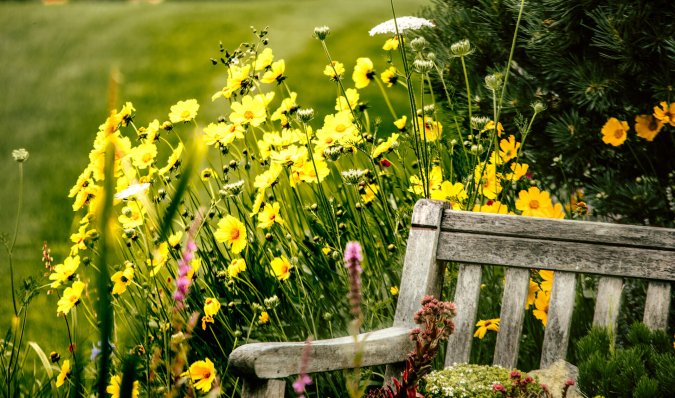 Garten der Gerryland AG Werbeagentur Würzburg