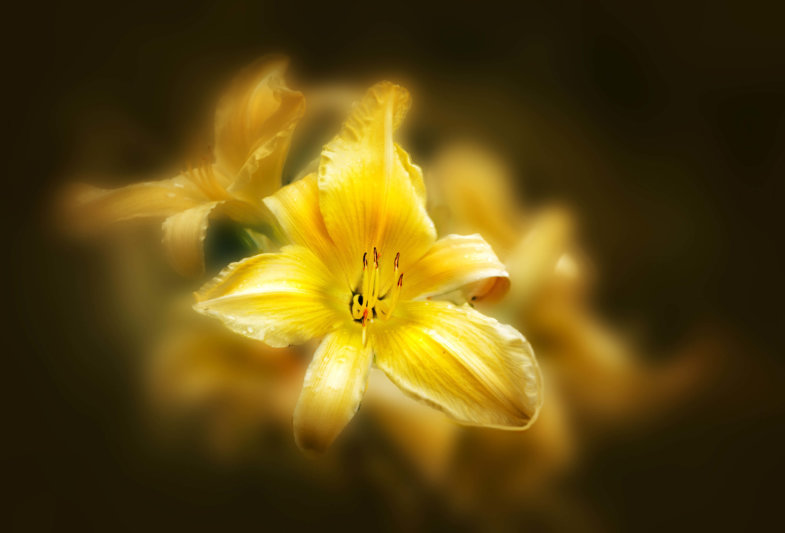 Gerryland AG Photoshop Kunst Natur