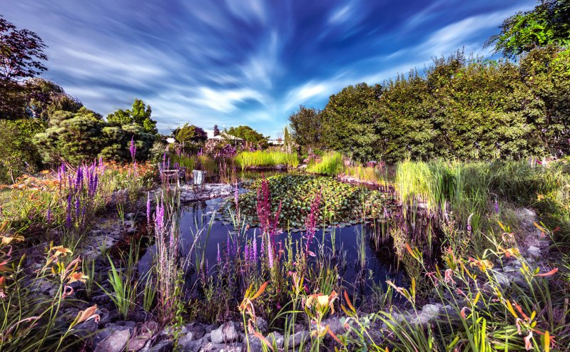 Garten der Gerryland AG Werbeagentur Würzburg