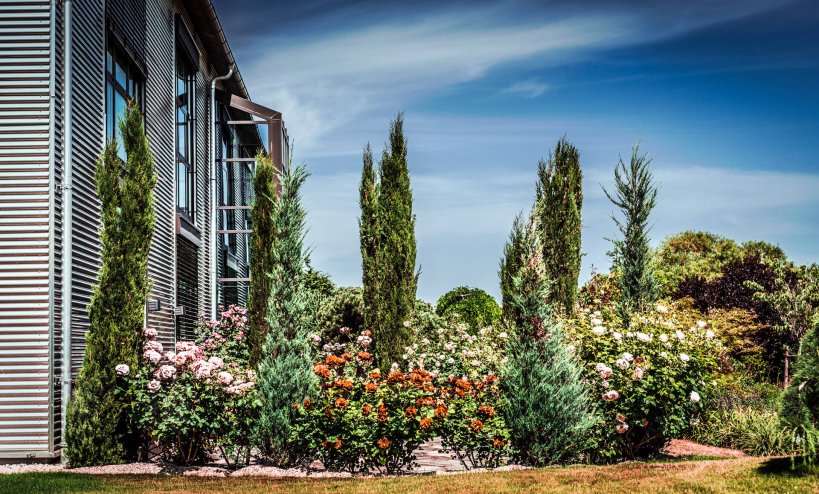 Garten der Gerryland AG Werbeagentur Würzburg