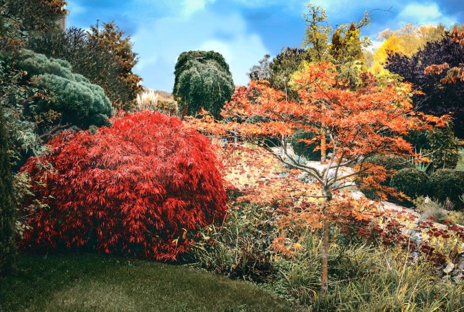 Garten der Gerryland AG Werbeagentur Würzburg