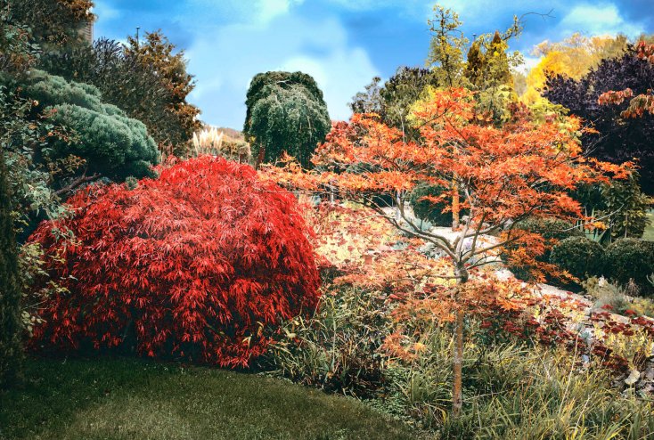 Garten der Gerryland AG Werbeagentur Würzburg