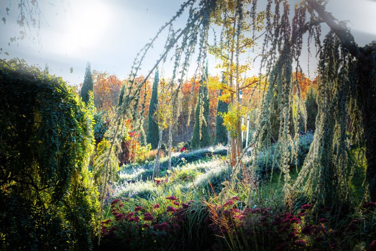 Garten der Gerryland AG Werbeagentur Würzburg