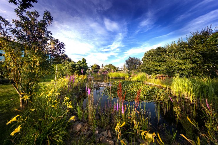 Garten der Gerryland AG Werbeagentur Würzburg