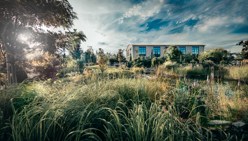 Gerryland Garten 2018