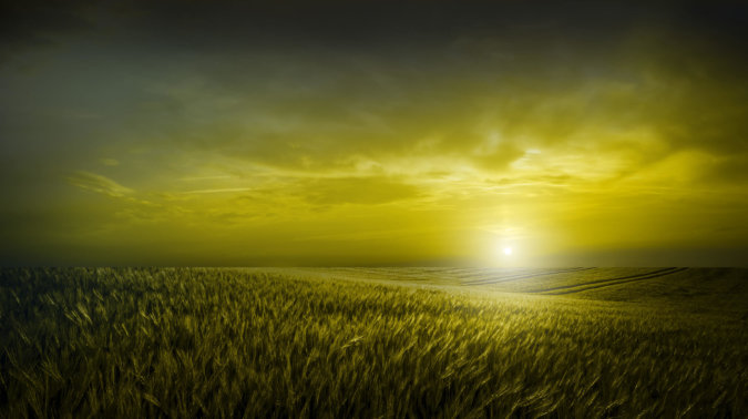 Gerryland AG Photoshop Kunst Natur