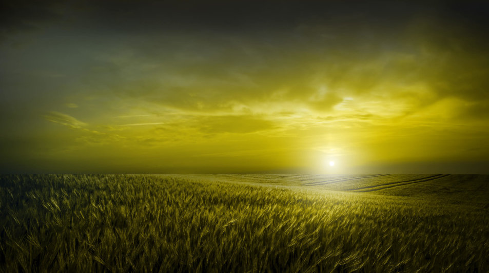 Gerryland AG Photoshop Kunst Natur