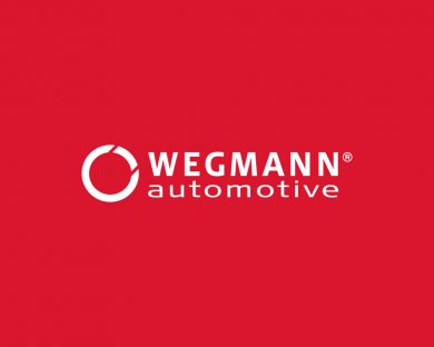 Wegmann-Logo