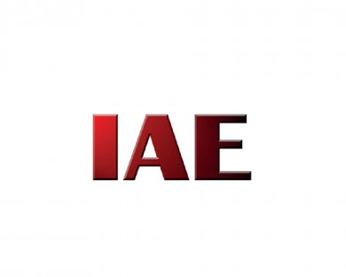 IAE-Logo