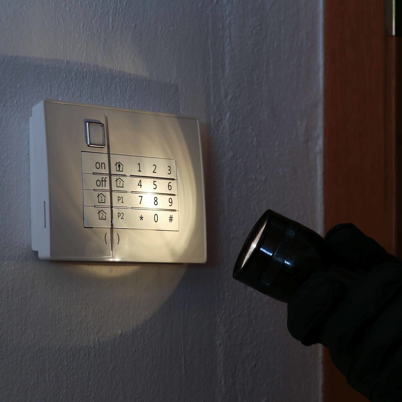 Alarmanlage, Einbruchschutz