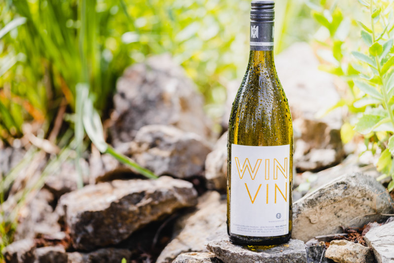 GERRYLAN-1907-351 - Gerryland-Social Media-Wein-2019-07-22-15-05-7