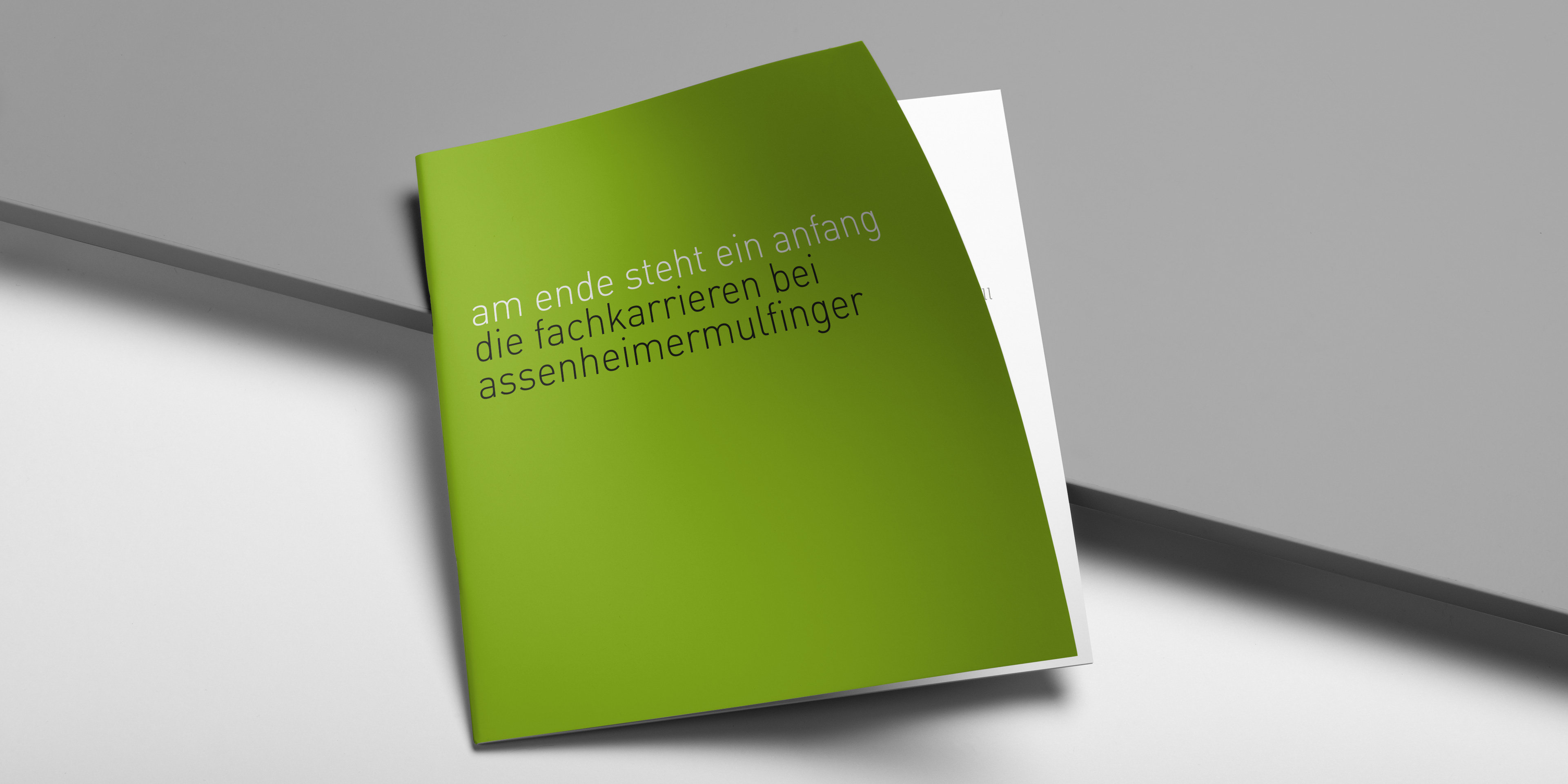 ASSMU-Fachkarriere-Cover1